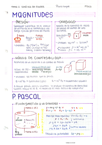 Apuntes-Fisica-PaulaLuque.pdf