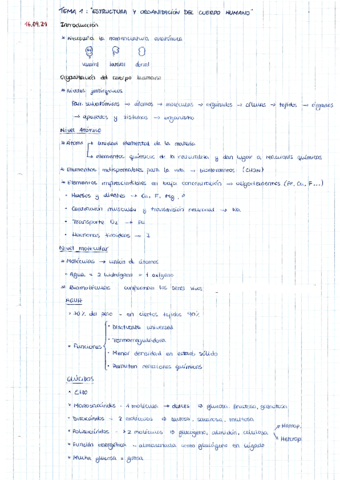 Tema-1.pdf