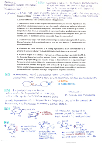 Problemas-Biomoleculas-PaulaLuque.pdf