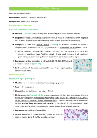2n-parcial-microbiologia.pdf