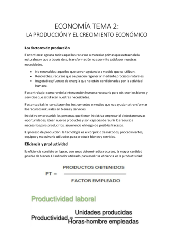 ECONOMIA-TEMA-2.pdf
