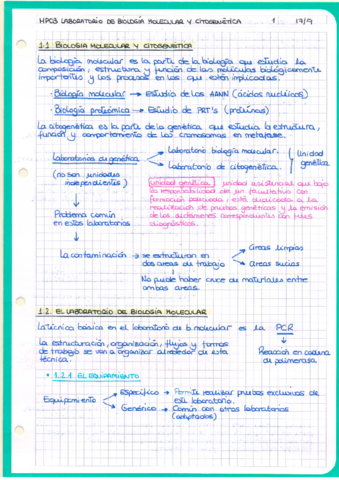 UF1-Laboratorio-de-biologia-molecular-y-citogenetica.pdf