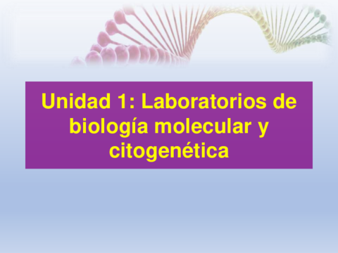 UF1-Laboratorios-de-biologia-molecular-y-citogenetica-1.pdf