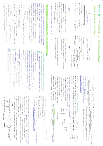 Resumen-genetica-y-biotecnologia.pdf