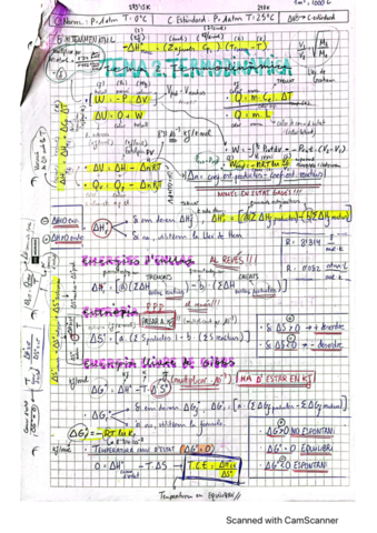 Teoria-Termodinamica.pdf