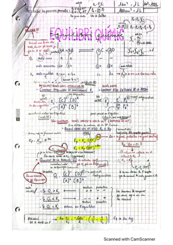 Teoria-Equilibri-Quimic.pdf