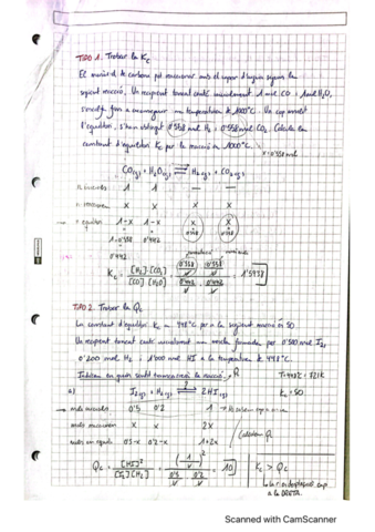 Exercicis-Equilibri-Quimic.pdf