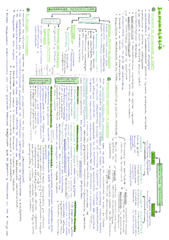 Resumen-inmunologia.pdf