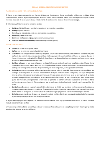APUNTES COMPLETOS.pdf