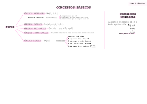 CONCEPTOS-CALCULO-.pdf