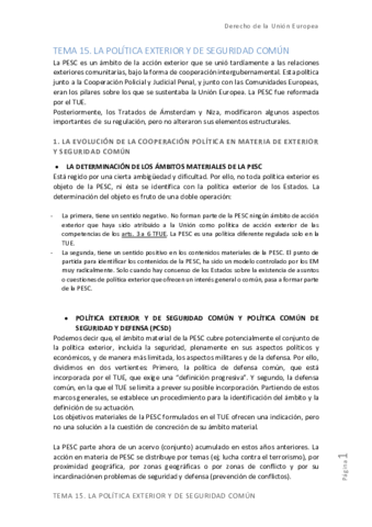 TEMA-15.pdf