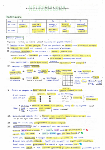 NEUROBIOLOGIA-Practiques.pdf