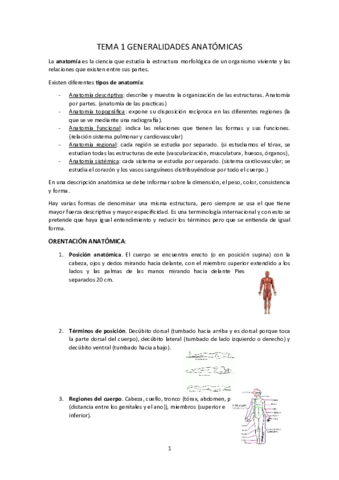 Apuntes-anatomia.pdf