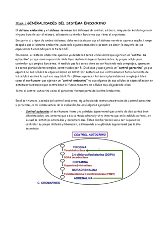 ENDOCRINO.pdf