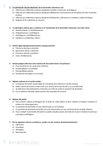 Preguntas-Examenes-2.pdf