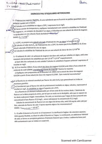 Exercicis-Equilibris-Heterogenis.pdf