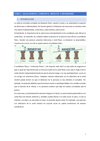 TEMA-1-Salud-Mental.pdf