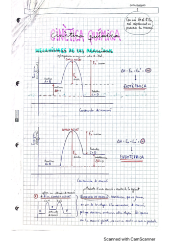 Teoria-Cinetica-Quimica.pdf