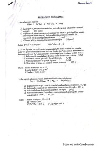 Exercicis-Redox-PAU.pdf