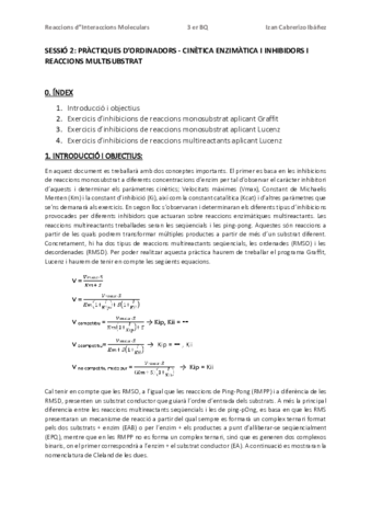 InformeP2RIMIzanCabrerizoIbanez.pdf