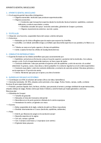 APARATO-REPRODUCTOR-MASCULINO.pdf
