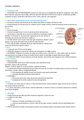 SISTEMA-URINARIO.pdf