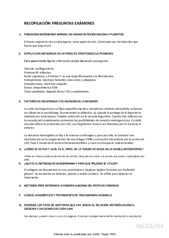 RECOPILACION-PREGUNTAS-EXAMENES.pdf