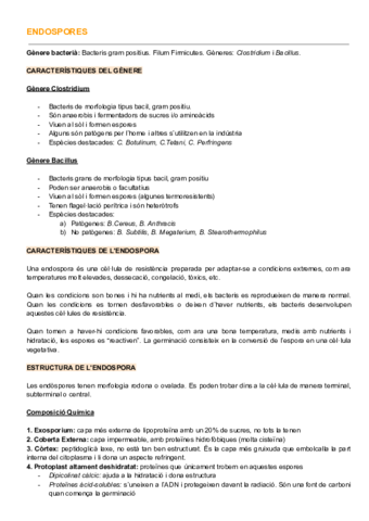 Explicacio-Espores-Extens.pdf
