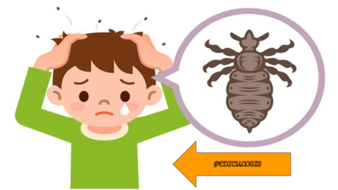 PEDICULOSIS-PRESENTACION.pdf