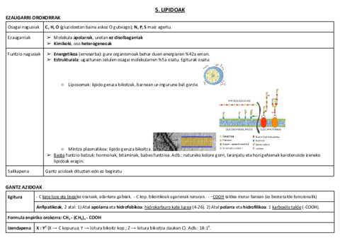 05. LIPIDOAK.pdf