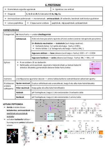 06. PROTEINAK.pdf