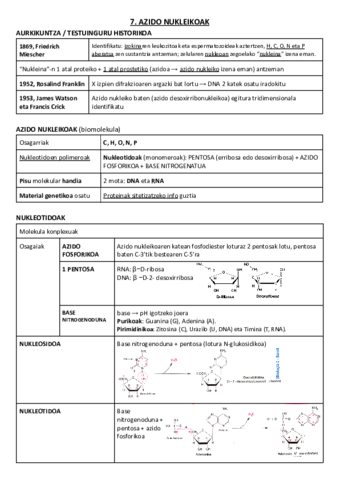 07. AZIDO NUKLEIKOAK.pdf