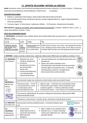 11. ZATIKETA ZELULARRA: MITOSIA eta MEIOSIA.pdf