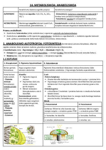 14. METABOLISMOA: ANABOLISMOA.pdf