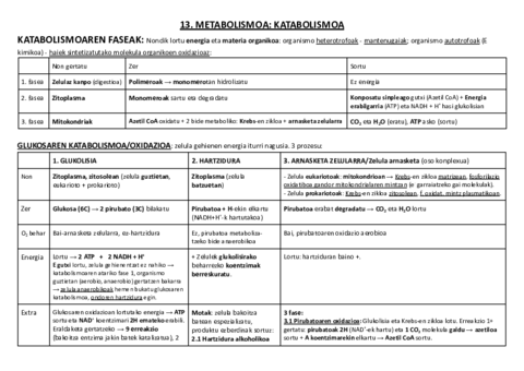 13. METABOLISMOA: KATABOLISMOA.pdf