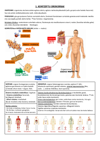 01. KONTZEPTU OROKORRAK.pdf