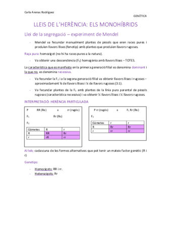 Tema-2-Lleis-de-l-herencia-I.pdf