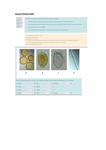 Examen-Practicas-Botanica-I-2020.pdf