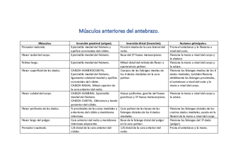 Musculos-del-antebrazo.pdf