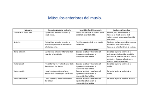 Musculos-del-muslo.pdf