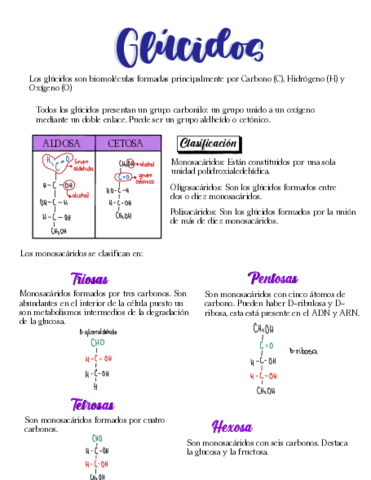 Glucidos.pdf