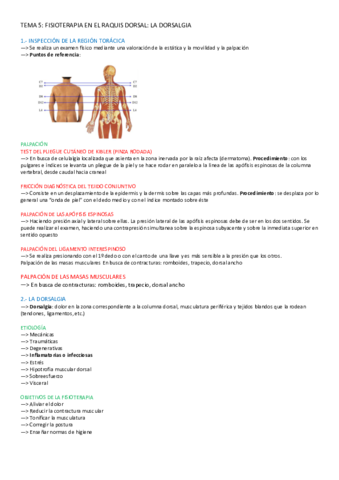 TEMA-5-LOCOMOTOR.pdf