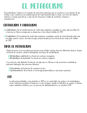 El-Metabolismo.pdf