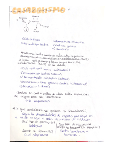 catabolismo-y-anabolismo.pdf