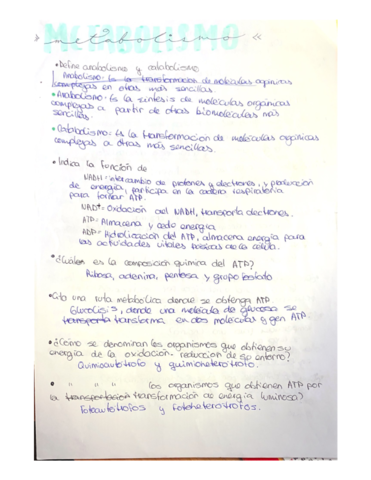 metabolismo.pdf