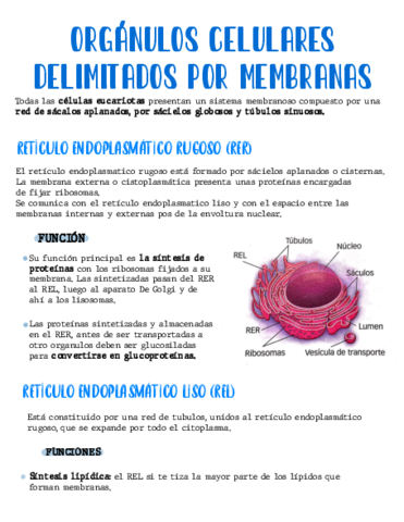 Organulos-Celulares-Membranosos.pdf