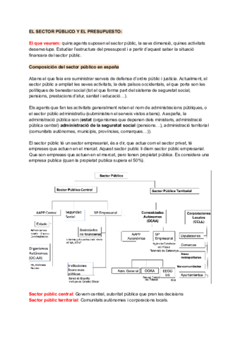 TEMA-1-EL-SECTOR-PUBLICO-Y-EL-PRESUPUESTO.pdf