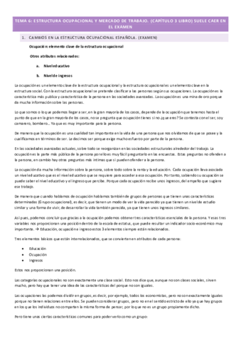 TEMA-6.pdf