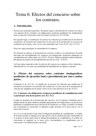 Concursal-6.pdf