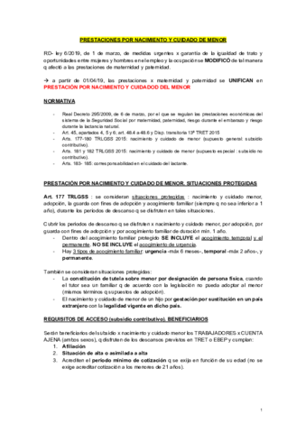 PRESTACIONES-POR-NACIMIENTO-1-Y-CUIDADO-DE-MENOR.pdf